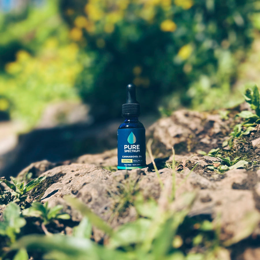 Pure Spectrum, Cannabidiol Oil, Natural Flavor, Broad Spectrum THC-Free, 2fl oz, 2500mg CBD