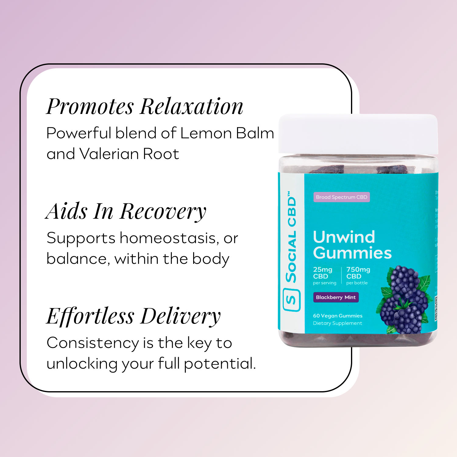 Social CBD, Unwind CBD Gummies, Blackberry Mint, Broad Spectrum THC-Free, 60ct, 750mg CBD